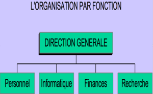 App1 organisation par fonction 1.png