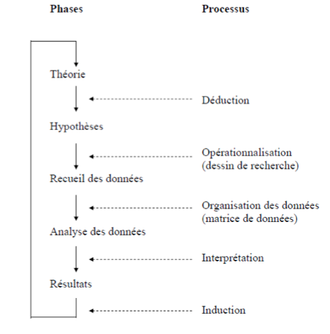 Phases et processus de recherche.png