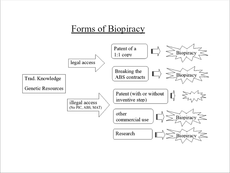 Fichier:Forms of biopiracy.png