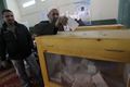 250624 un-egyptien-vote-lors-des-elections-legislatives-a-minya-au-sud-du-caire-le-3-janvier-2012.jpg