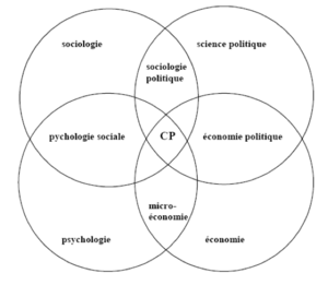 Comportement politique comportement politique dans les sciences sociales 1.png