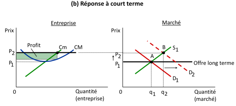 Fichier:Mécanisme d’ajustement court versus long terme 2.png