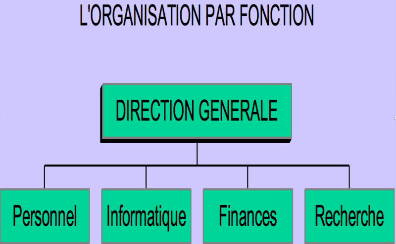 Fichier:App1 organisation par fonction 1.png